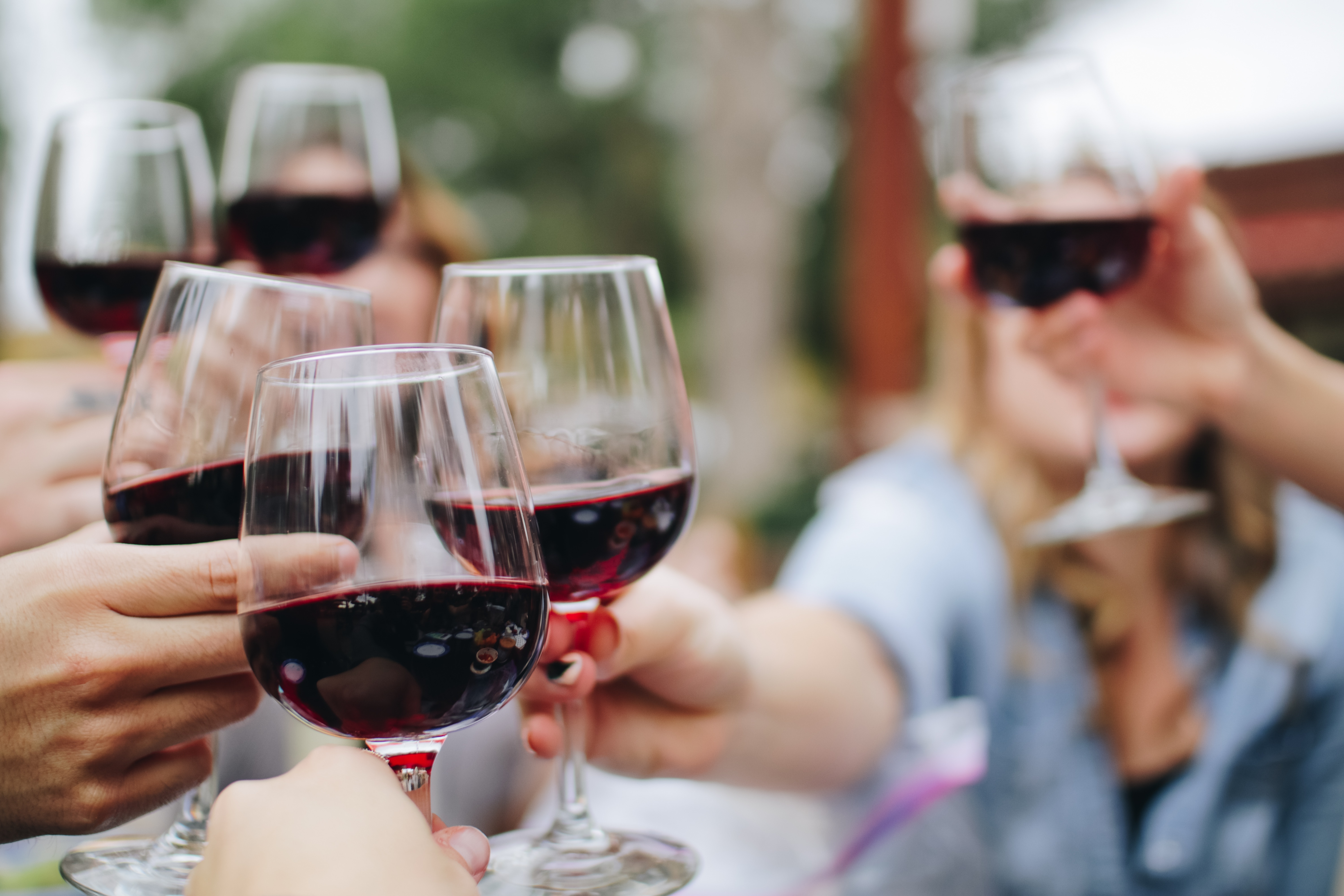 Curso de cata de vino gratis